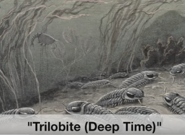 Trilobite- Deep Time (Dynamite Parody)